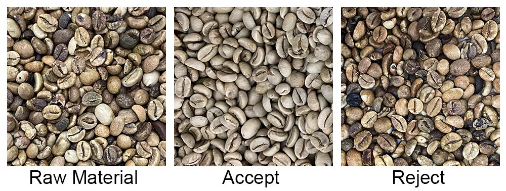 Máquina clasificadora de granos de café amd