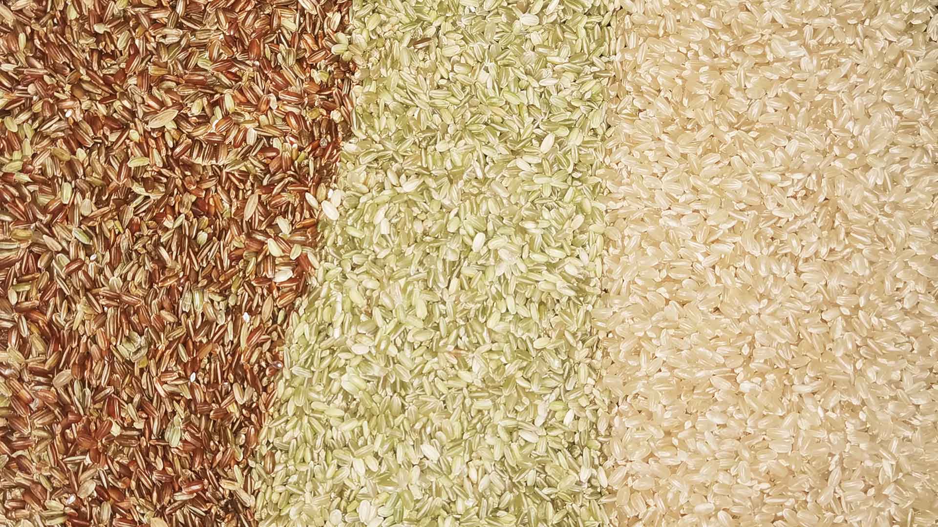clasificación de arroz